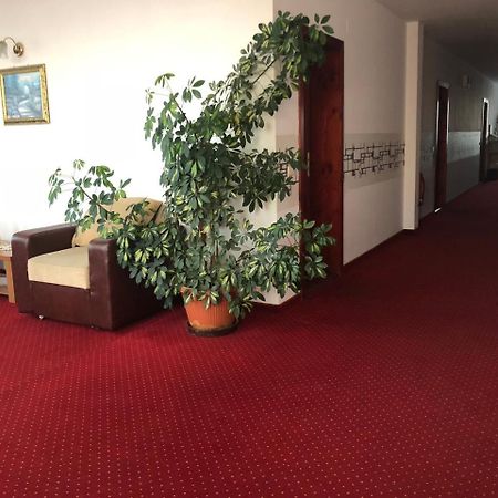 Pension Rozeclas Oradea Exteriör bild