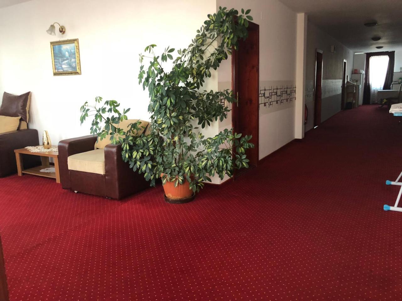 Pension Rozeclas Oradea Exteriör bild